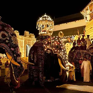 Lodge Settle Tourist, Kandy